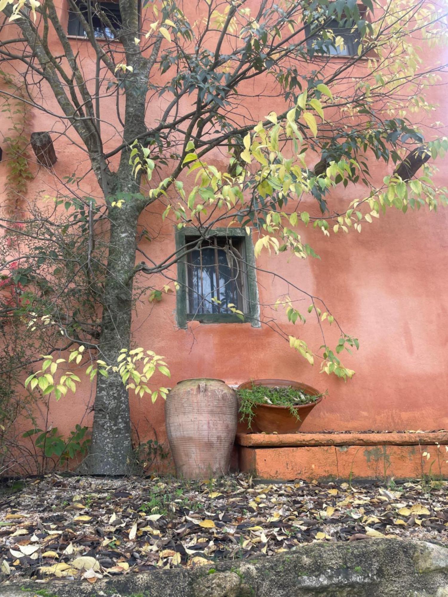Maset Del Riu Guest House Valderrobres Eksteriør bilde
